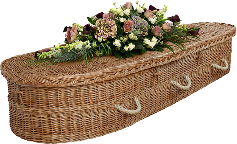 TRIBUTES-English-willow-flowers